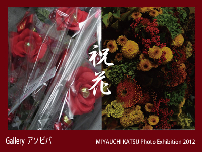 宮内勝写真展「祝花」の写真
