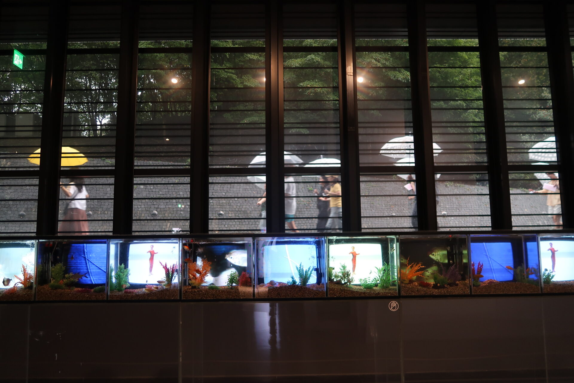 暗い室内から大きなガラス窓越しに外を見た構図。室内の手前には、水槽が横一列に並んでいる。各水槽の中には赤い衣装を着た人物が映ったモニターと、熱帯魚や水草が配置されている。ガラスの外には傘を持った複数の人影が見える。
